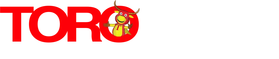 Toro Taxes · Individual & Business Services